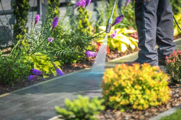 Best Animal Enclosure Cleaning  in Anthem, AZ